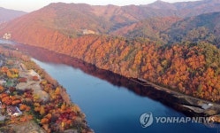 가을 절정인데 궂은 날씨 대수냐…유명산·축제장 관광객 넘실