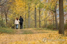 가을의 은행나무길을 거니는 연인