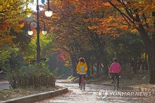 늦가을 라이딩