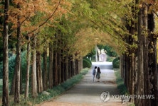사랑의 속삭임, 메타세쿼이아길