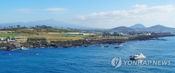 제주 바다엔 남방큰돌고래가 산다