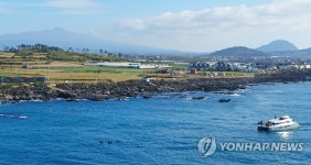 '제주 바다엔 남방큰돌고래가 산다'