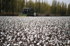 中신장 인권논란, 글로벌 의류기업에 불똥…강제노역제품 사용