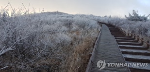 상고대가 빚은 지리산 절경