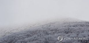첫눈 쌓인 지리산 노고단