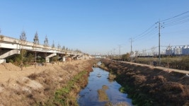 고양 4개 하천에 미세먼지 줄이는 21㎞ 숲길 조성