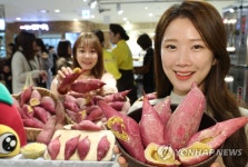 해남 명물 고구마빵 맛보세요
