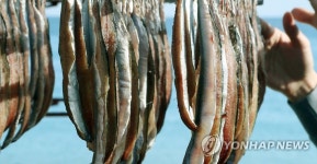 풍미 더해가는 겨울 진미