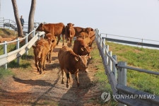 집으로 들어가요