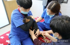 반려견도 헌혈해요