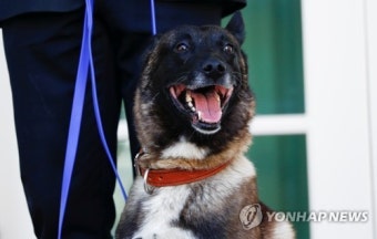 트럼프, 알바그다디 추격 군견 '코넌' 깜짝 공개…
