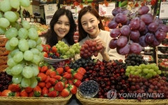 알록달록 과일로