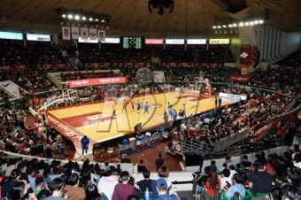 프로농구 지난 시즌보다 관중 23% 증가...시청률도 53% 상승