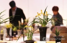 구미코서 한국춘란산업박람회…춘란 600여점 전시