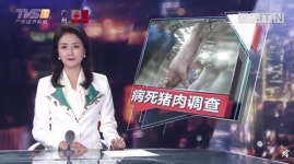 中병으로 죽은 돼지 유통 파장…먹거리 안전 우려