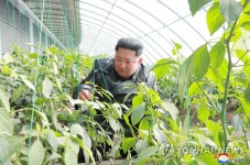 온실 농장 찾은 김정은