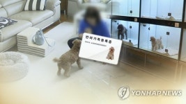 춘천시 애견 전원주택단지·카페형 입양센터 조성