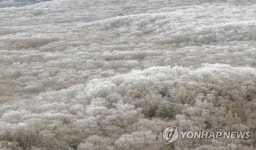 상고대 핀 한라산