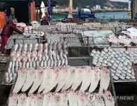 겨울 해풍에 말린 생선