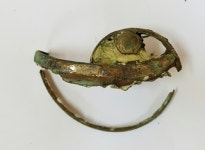 황남대총 용도불명 장신구 2점 정체는 앵무조개잔