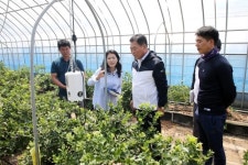 [새해에는] 김산 무안군수 시 승격 위해 남악신도시 활성화 총력