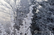 Foto hasil carian Naver 6