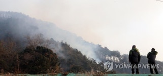춘천 신북읍 야산 산불