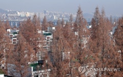 급매물 늘고 있는 반포 주공1단지