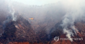 잿더미된 춘천 산림