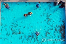 송어야 이리 와라