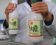 뽕잎과 우리 쌀의 만남 강진 막걸리 인기