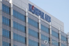 반도건설 참전, 대한항공 운명은?