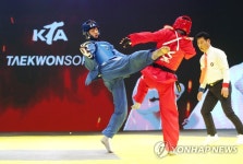 이것은 태권도인가 격투 게임인가