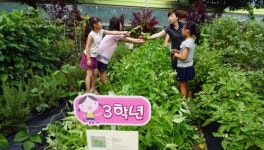 충남교육청 올해 텃밭 가꾸기 학교 270곳으로 확대