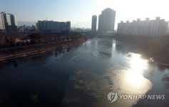 이상기후에 사라진 거대 얼음판…유유히 흐르는 강물
