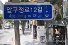 서울 강남구 가로수길 법정도로명화 추진