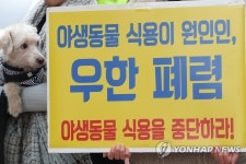 야생동물 식용 중단 구호 듣는 강아지