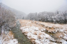 눈 내린 진부령 계곡