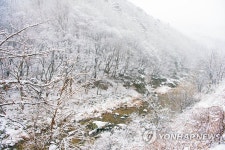 눈 내린 진부령 계곡