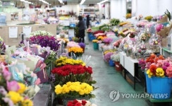 신종코로나 타격 화훼산업, 편의점·온라인 판매 추진