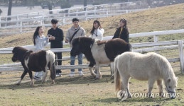 Foto hasil pencarian Naver 4