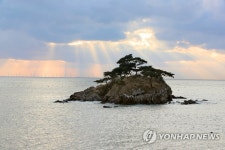 솔섬