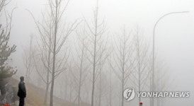 앞이 안보이는 안개길
