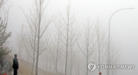 강원 내륙·산지 짙은 안개…출근길 운전 조심하세요