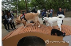 전주 덕진공원 인근 반려동물 놀이터 조성