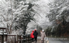 눈 내린 남산길