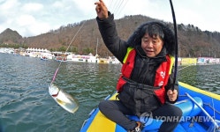 화천산천어축제 보트낚시 시연