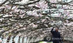 봄이 오는 소리