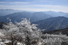 지리산 바래봉의 겨울 풍경
