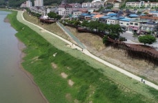 단양군, 상진리 강변에 1만1천㎡ 메밀꽃밭 조성